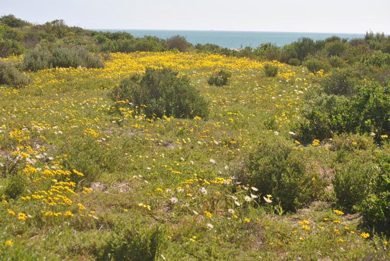 Stay At Bokkoms In Paternoster Self Catering Accommodation المظهر الخارجي الصورة