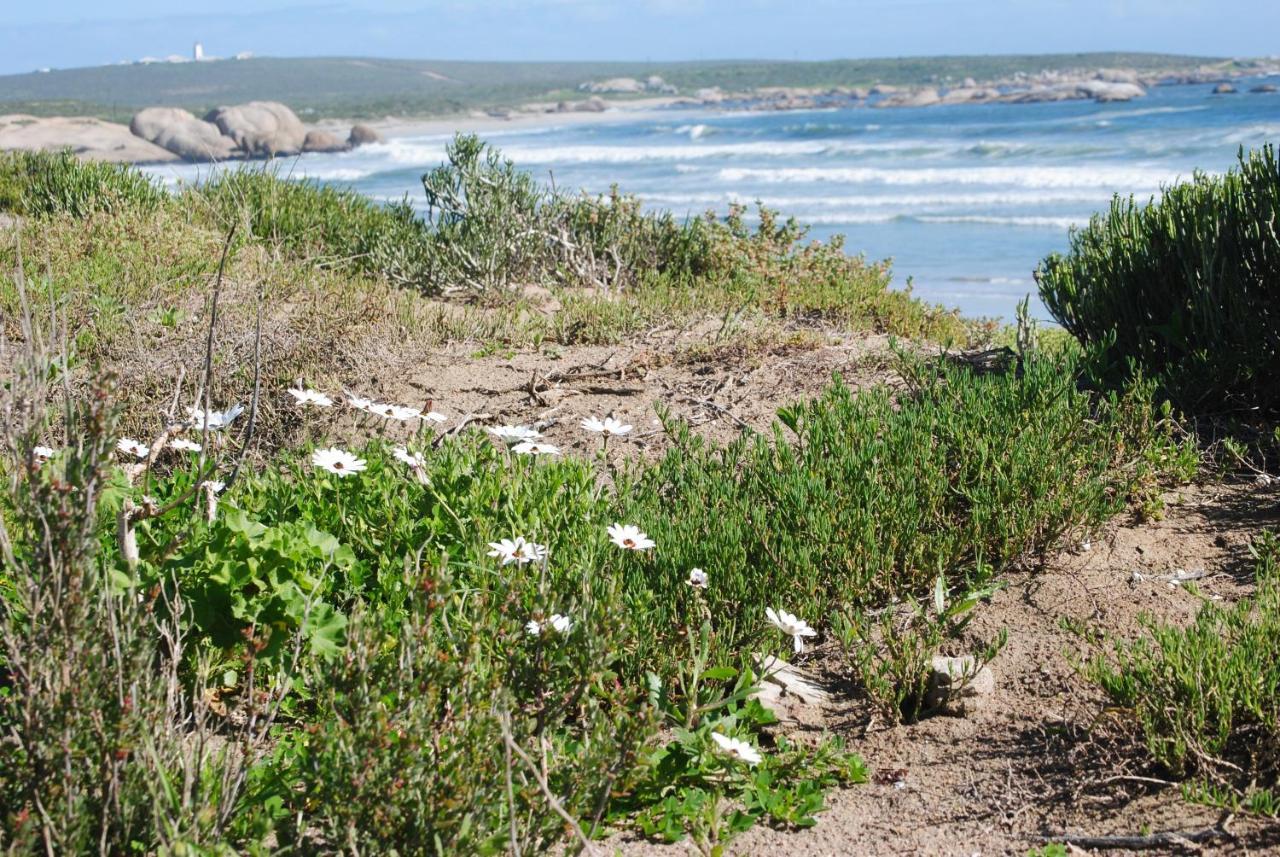 Stay At Bokkoms In Paternoster Self Catering Accommodation المظهر الخارجي الصورة